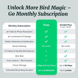 Beako™ Smart Bird Feeder with 4K Camera Solar Powered for Outdoors - UHD Live Stream for Birdwatching, AI Identification 10,000+ Bird Species, Real-Time Motion Detection, Ideal Gift for BirdLovers