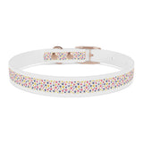 Pet Collar - Colorful Paw Prints Dog Collar