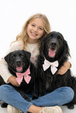 Dog Bow Collar 2 Pack – Soft Adjustable Puppy Collars with Removable Bell, Pink & White Cute Dog Collar for Small Medium Dogs, Boutique Pet Accessory for Daily Wear, Photos & Parties