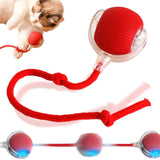 Interactive Rolling Dog Ball, 2024 New Self Dog Toys Interactive Cat Toys Automatic Cat Toy Self Moving Dog Toys, 360° Smart Automatic Rolling Ball Toy Electric Dog Balls for Dog/Cat (Red)