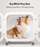 HomeRunPet 135L Smart Pet Dryer Box for Medium Dogs & Cats, Ultra-Quiet Hands-Free Drying with Gentle Full-Body Airflow & Smart Temperature Control for Multi-Pet Homes (Drybo Ultra)
