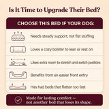Cooling Orthopedic Dog Bed for Large Dogs, Memory Foam, Washable Cover