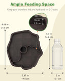 Pawfly Automatic Reptile Water Feeder, Tortoise Water Bottle, Turtle Food and Water Bowl, Water Dispenser for Snake Bearded Dragon Lizard and Chameleon