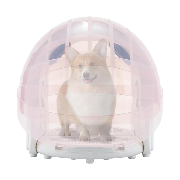 Pet carrier with a dog inside on a white background