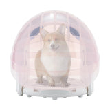 Pet carrier with a dog inside on a white background
