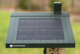 FeatherSnap Smart Bird Feeder: AI Bird ID, Solar Power, Wi-Fi Connectivity, Sends HD Pictures and Videos to Your Phone, Two Seed Bins, Multiple Mounting Options - Best Smart Bird Feeder