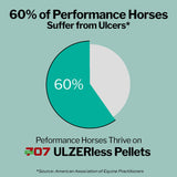 Formula 707 ULZERless Equine Supplement, 7.5lb Bag - Natural Gut Support for Horses with Ulcer Risk Factors