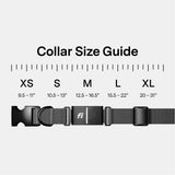 Fi New Series 3+ Smart Dog Tracker Collar [12 Month Membership Included] GPS Tracker for Dogs with Health & Behavior Monitoring, Escape Alerts, Waterproof, LED, Apple Watch Compatible (Gray, Large)