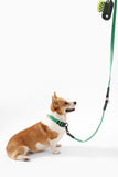 THE LICKER Store WLK1005K-5SET Luna Medium 8FT Adjustable 6-in-1 Waterproof Hands-Free Leash and Collar with LED Flashlight, Bag Dispenser, and Poop Bag Holder, Julep