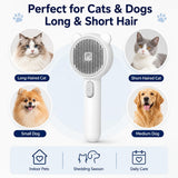 3-in-1 Pet Spray Hair Comb, Self-Cleaning Pet Grooming Brush, Anti-Static Cat Steamy Brush for Effective Hair Removal, Steamy Cat Brush Dogs Hair Grooming Brush Misting, LED, Bear Shape