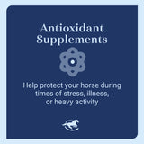 SmartEquine Smart & Simple Vitamin E Pellets | Horse Supplement Pellets | Vitamin E for Horses | Immune Support | Pellet Form for Easy Feeding | 112 Servings | 3.7 LB Bucket
