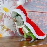 Cute Bird Costume for Christmas Halloween, Parrot Cloak Cosplay Photo Prop, Bird Cape, Bird Clothes for Budgerigar, Parakeet, Conure, Cockatiel, Mynah, Love Birds, Finches (XS)