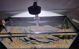 Magnetic Aquarium Cover lid Fish Tank lid Anti-Jumping net Cover mesh lid Aquarium Hood