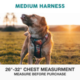 Embark No Pull Dog Harness, Reflective Adjustable Training Vest, No Choke