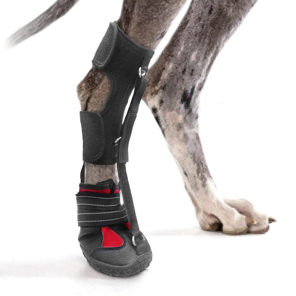 Strap-On Drop Foot Brace (No Knuckling Boot Brace) for Dogs— Corrective Dog Shoes to Safely Lift Toes for Foot Issues, Arthritis, and improving Walking gait in Dogs(XL)