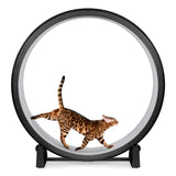 One Fast Cat - Cat Exercise Wheel - Gen. 7 - Safe 48" Diameter - Made in The USA - Black Wheel with Gray Felt Traction Pads and Solid Black Inline Wheels
