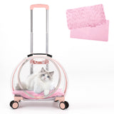 Transparent & Fully Breathable Hard cat Carrier with Rolling Wheels for Dogs, Cats, Multiple Carrying Options, Perfect for Traveling/Taking a Walk
