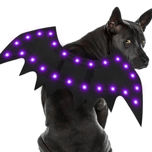 Malier Light Up Halloween Dog Costume, 20 LED Dog Bat Wings Halloween Cosplay Costume with Orange Lights Funny Clothes Halloween Thanksgiving Gifts for Small Medium Large Dogs Puppy Cats (Large)