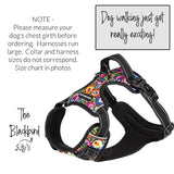 Lucky Love Dog, Bundle of Matching Harness Plus Leash for Easy Walk Training Comfort- Blackbird, Large