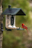 FeatherSnap Smart Bird Feeder: AI Bird ID, Solar Power, Wi-Fi Connectivity, Sends HD Pictures and Videos to Your Phone, Two Seed Bins, Multiple Mounting Options - Best Smart Bird Feeder