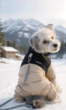 Dog Winter Windproof Cotton Coat, Graphene Thick Four Legged Coat, Teddy Bear with Traction, Waterproof pet Warm Suit