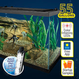 Tetra Complete LED Aquarium 55 Gallons, Includes LED Lighting, Filtration, Heater and Accessories
