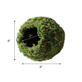 Galápagos (05346) Mossy Cave Hide, 4", Green