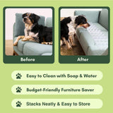 PEACHTREE PET Made in The USA (Love Seat) Clear Humane Scat Mat to Keep Dogs Off Couch & Dog Counter Surfing Deterrent - Pain Free Pet Furniture Protector Solution for Indoor (4 Sheets) US Patented