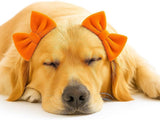 mqajdv Dog Hair Double Bow Headbands 3 Pcs – Bow Headband for Dogs, Dog Hair Bow,Classic Dog Hair Bows, Adjustable Headband, Puppy Bow, Pet Hair Bow, Dog Grooming Accessory