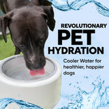 Cool Bowl 1.2L Cooling Dog Water Bowl – Plug-in Refrigerated Pet Bowl for Large, Medium, Small Dogs – Non-Slip Base, Dishwasher Safe, Keeps Water Cold for Summer Hydration