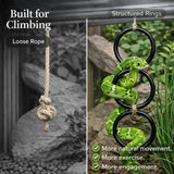 2PCS Snake Climbing Rings for Ball Python - Enrichment Toys for Corn Snake - Reptiletank Cage Decor Habitat Accessories | Terrarium, Bearded Dragon, Chameleon, Iguana, Gecko, Lizard, Parrot