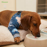 PetWarm Dog Recovery Sleeve, Two-Leg Dog Leg Sleeve, Black, S
