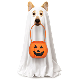 Huhumy 2 Pcs Halloween Dog Costumes with Non Woven Pumpkin Bags White Ghost Costume for Dog Cat Ghost Cosplay Clothes, Cute Party Cape for Halloween Cosplay Party (Medium)