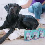 Vamoosh Pet Hair Dissolver | Patented Pet Hair Dissolving Formula | No Harmful Chemicals | Safe for Pets | Removes Odor | Dissolves Dog, Cat & Animal Fur | Easy to Use | 100g (Pack of 3)