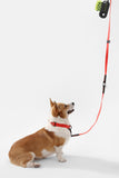 THE LICKER Store WLK1005M-5SET Luna Medium 8FT Adjustable 6-in-1 Waterproof Hands-Free Leash and Collar with LED Flashlight, Bag Dispenser, and Poop Bag Holder, Shirley