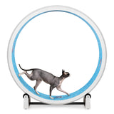 One Fast Cat - Cat Exercise Wheel - Gen. 7 - Safe 48" Diameter - Made in The USA - White Wheel with Koi Pond Foam Traction Pads and Solid Black Inline Wheels