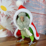 Cute Bird Costume for Christmas Halloween, Parrot Cloak Cosplay Photo Prop, Bird Cape, Bird Clothes for Budgerigar, Parakeet, Conure, Cockatiel, Mynah, Love Birds, Finches (XS)