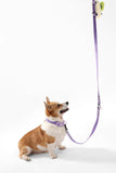THE LICKER Store WLK1005H-5SET Luna Medium 8FT Adjustable 6-in-1 Waterproof Hands-Free Leash and Collar with LED Flashlight, Bag Dispenser, and Poop Bag Holder, Bramble