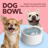 Cool Bowl 1.2L Cooling Dog Water Bowl – Plug-in Refrigerated Pet Bowl for Large, Medium, Small Dogs – Non-Slip Base, Dishwasher Safe, Keeps Water Cold for Summer Hydration