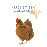 Manna Pro Chicken Grit with Probiotics – Crushed Granite Grit for Backyard Chickens, Supports Healthy Digestion and Gizzard Function, Ideal for Laying Hens and Small Flocks, 5 lb Bag