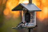 FeatherSnap Smart Bird Feeder: AI Bird ID, Solar Power, Wi-Fi Connectivity, Sends HD Pictures and Videos to Your Phone, Two Seed Bins, Multiple Mounting Options - Best Smart Bird Feeder