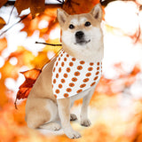 Halloween pumkin pet collar and bandana