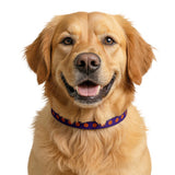 Halloween Pumpkin Clip-On Pet Collar — Purple & Orange Jack-O'-Lantern Design