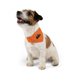 Halloween pet collar and bandana