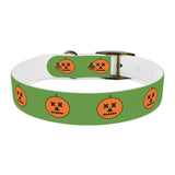 Halloween Dog Collar pumkin design