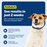 PetSafe NanoBark Collar - Long-Lasting Lightweight Mini Bark Deterrent Collar with Multiple Static Stimulation Levels - Customizable & Easy-to-Use - Waterproof & Rechargeable