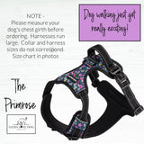 Lucky Love Dog Bundle - Large No Pull Dog Harness & Adjustable Collar, in Stylish Primrose Pattern, Durable & Comfortable for Pet Dogs, Suitable for Puppies & Adult Dogs