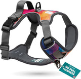Embark No Pull Dog Harness, Reflective Adjustable Training Vest, No Choke