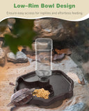 Pawfly Automatic Reptile Water Feeder, Tortoise Water Bottle, Turtle Food and Water Bowl, Water Dispenser for Snake Bearded Dragon Lizard and Chameleon