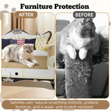 Cat Scratcher Sofa, Durable Cat Scratcher Couch & Box